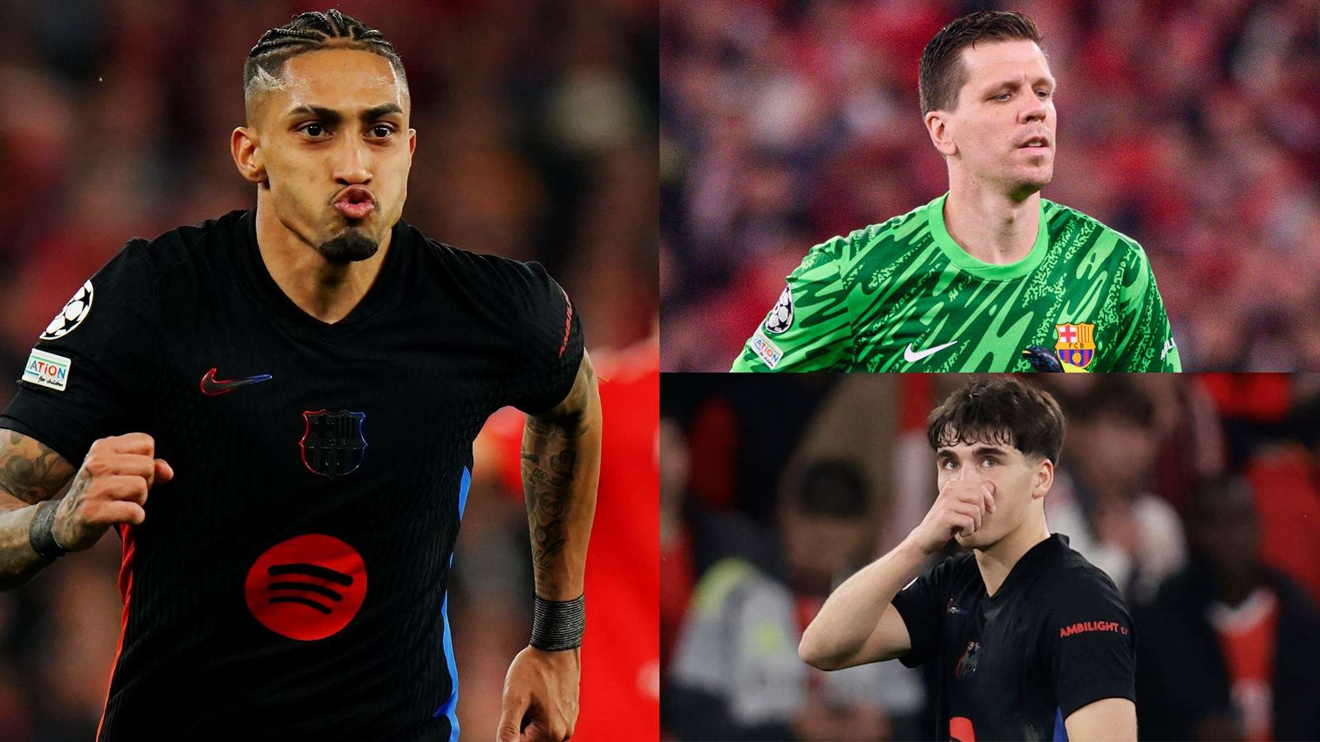 證明了球隊 證明了球隊