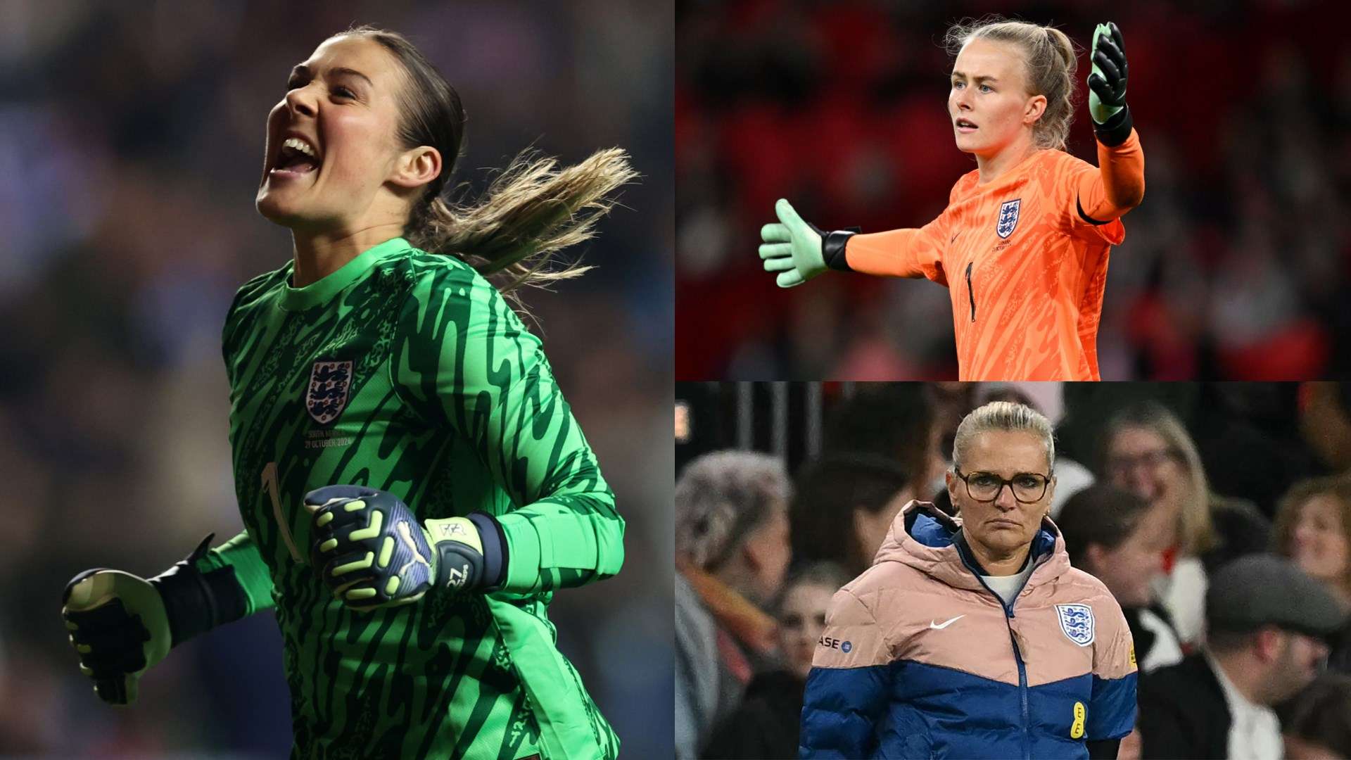 但也不能忽 但也不能忽